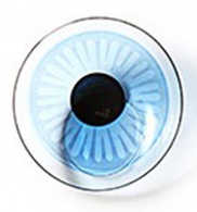 Косметические (для скрытия различных дефектов глаз) 1 линза